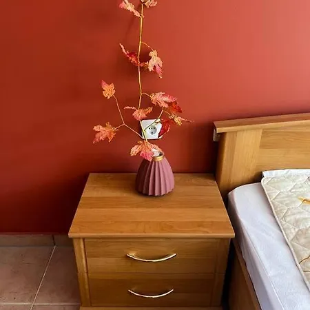 Summer Dreams Apartment Sunny Beach